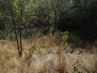 Suvi Dol, Okolne lokacije, Vranje | 4zida.rs