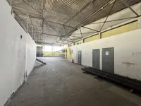 Hala | 4zida