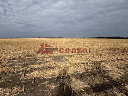 Bikovo | 4zida.rs