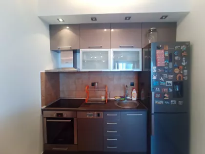 Miljana Miljanića | 4zida.rs