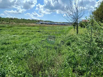 Alibegovac | 4zida.rs