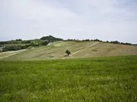Donje Međurovo, Okolne lokacije, Niš | 4zida.rs