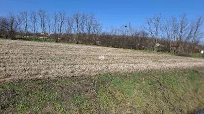 Jovana Cvijića | 4zida.rs