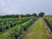 Poljoprivredno zemljište | 4zida