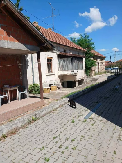 Parunovac | 4zida.rs