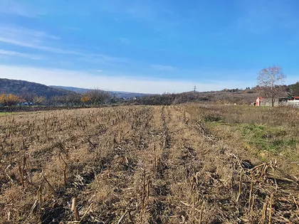 Put Za Markoviće | 4zida.rs
