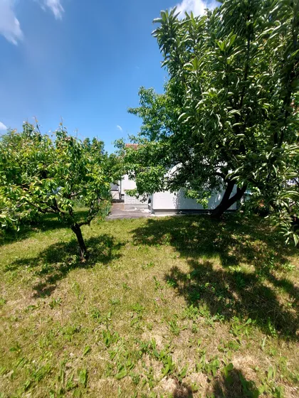 Beloševac | 4zida.rs