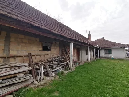 Novi Žednik | 4zida.rs