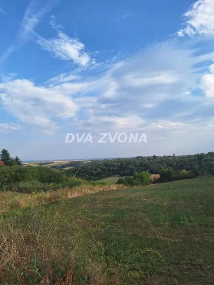 Čortanovci | 4zida.rs