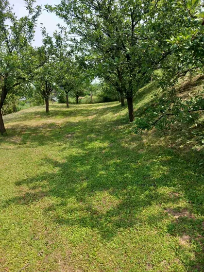 Alibegovac | 4zida.rs