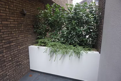 FON - Voždovac | 4zida.rs