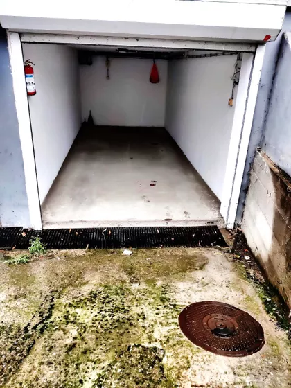 Nova Detelinara | 4zida.rs