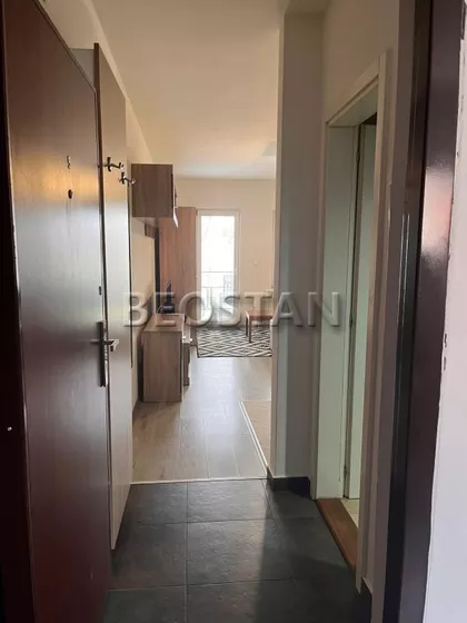 Darinke Radović | 4zida.rs