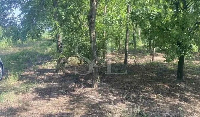 Poljoprivredno zemljište | 4zida