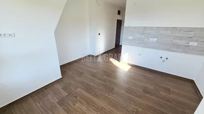 Belog narcisa | 4zida.rs