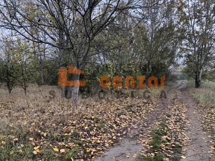 Hajdukovo | 4zida.rs