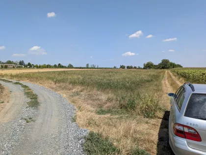 Desanke Maksimović | 4zida.rs