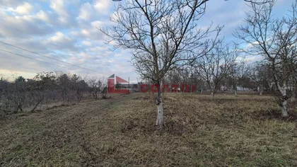 Palić | 4zida.rs