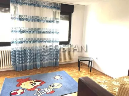 Dr Ivana Ribara | 4zida.rs