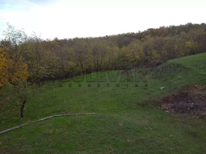 Supovac | 4zida.rs