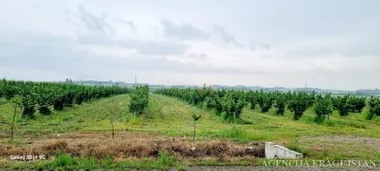 Lužnice