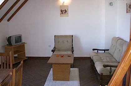 Vlastimira Pavlovića Carevca | 4zida.rs