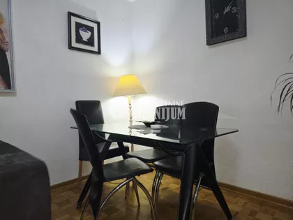 Dr Ivana Ribara | 4zida.rs