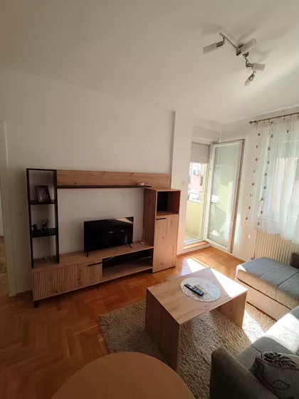 Dr Svetislava Kasapinovića | 4zida.rs