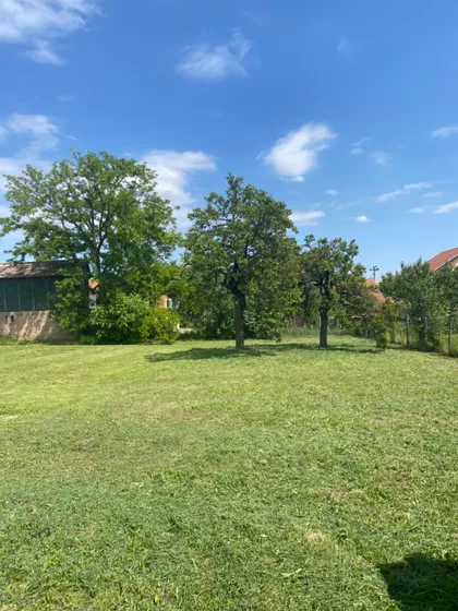 Augusta Šenoe 32 | 4zida.rs