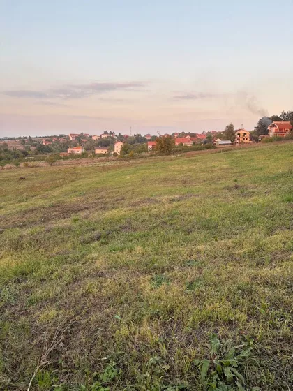 Arsenija Sremca | 4zida.rs