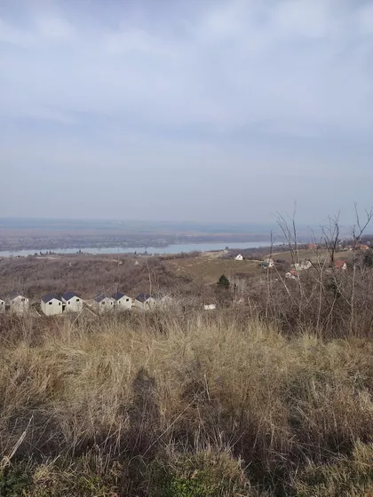 Slankamenački Vinogradi | 4zida.rs
