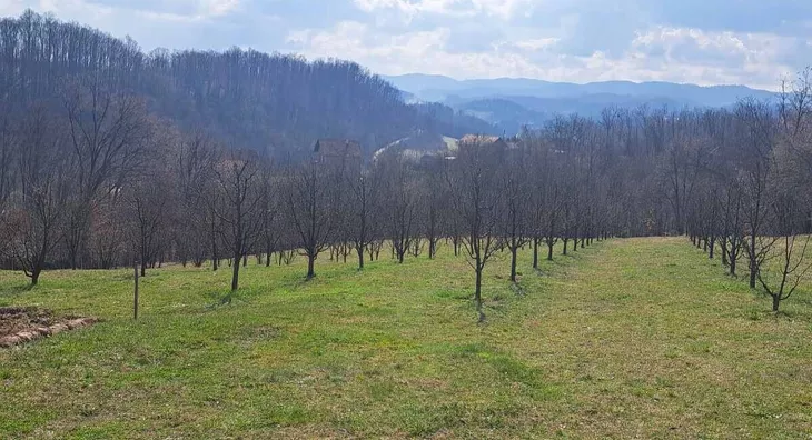 Poljoprivredno zemljište | 4zida