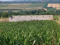 Šljivovac, Okolne lokacije, Kragujevac | 4zida.rs