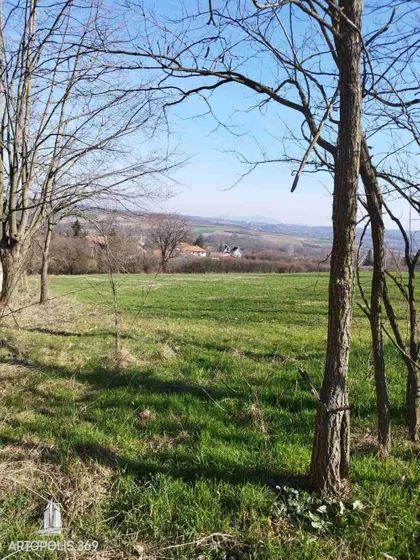 Veliki Borak | 4zida.rs