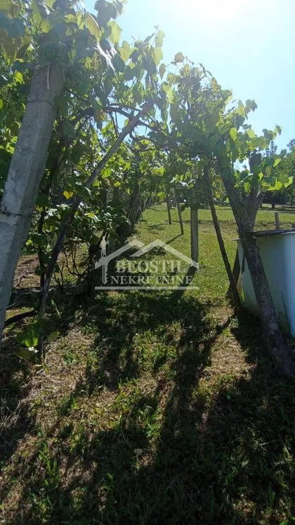 Vrčin | 4zida.rs