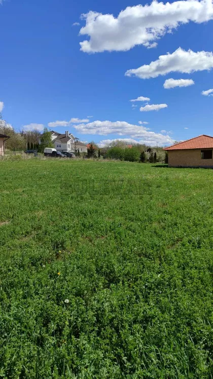 Pere Todorovića | 4zida.rs