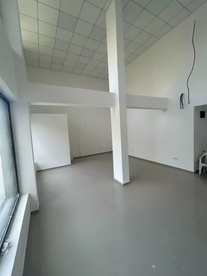 Milovana Gušića | 4zida.rs