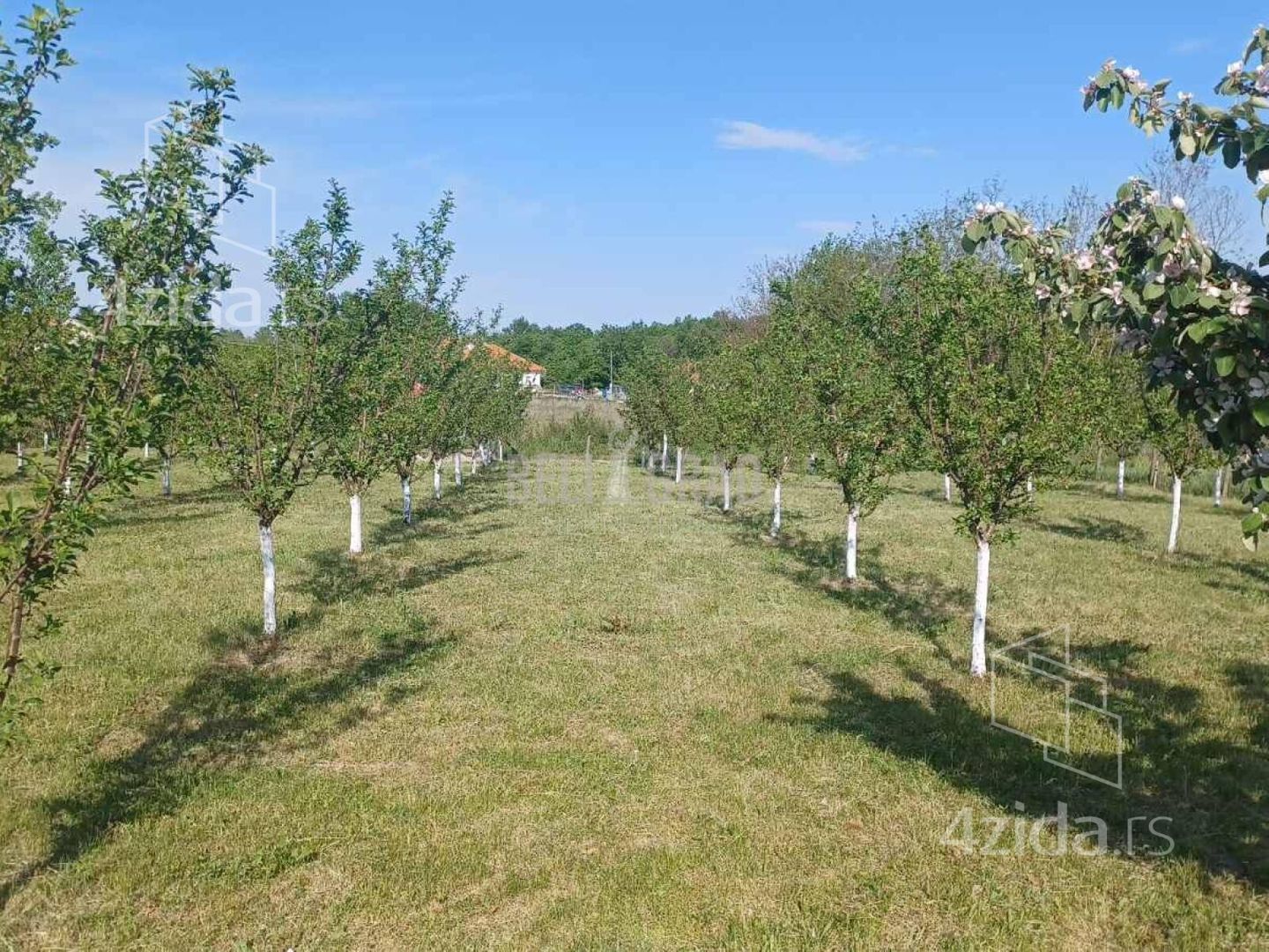 Plot for sale, Gornjomilanovačka, 60.000€, 0.1a — photo