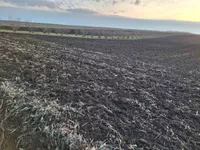 Surduk, Okolne lokacije, Stara Pazova | 4zida.rs