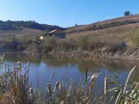 Gradske lokacije, Bela Palanka | 4zida.rs