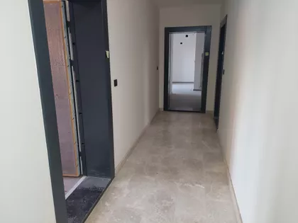 Trg Cara Jovana Nenada | 4zida.rs