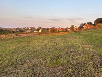 Arsenija Sremca | 4zida.rs