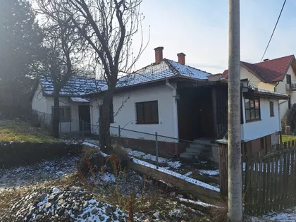 Rada Vilotijevića | 4zida.rs