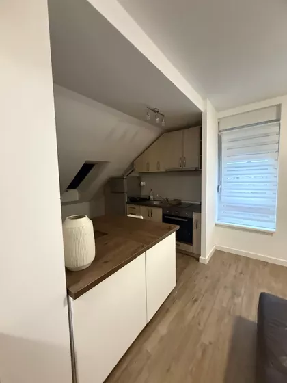 Dragoljuba Milovanovića Bene | 4zida.rs