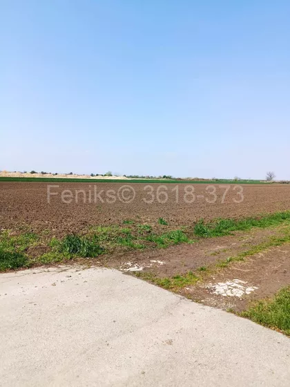 Krnješevačka | 4zida.rs