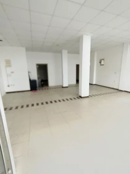 Pavla Vujisića | 4zida.rs