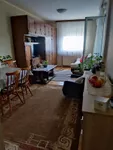 Telep, Gradske lokacije, Novi Sad | 4zida.rs | 4zida.rs