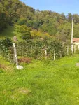 Plac | 4zida