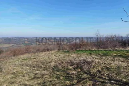 Milosava Đorića Zoke | 4zida.rs