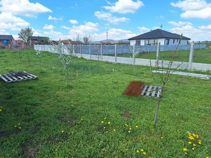 Maradička | 4zida.rs